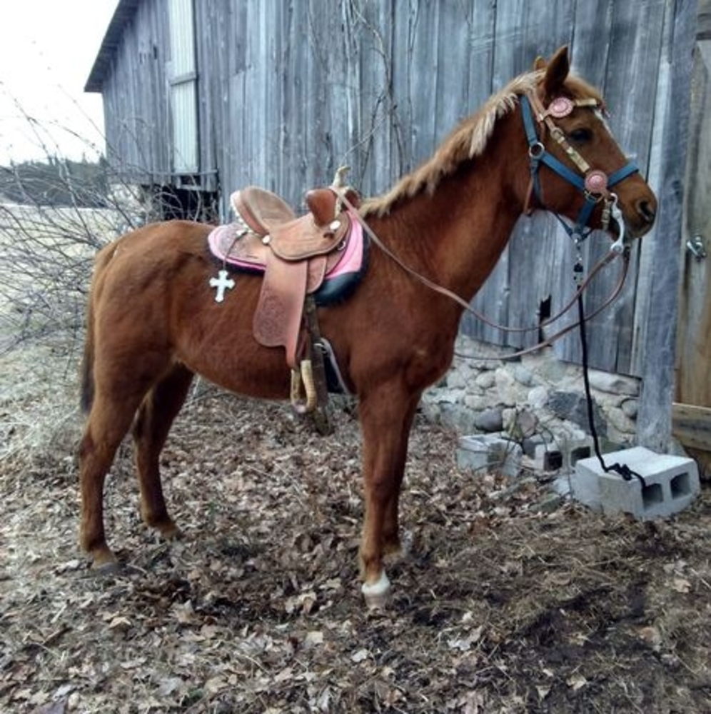 Meet your Posher, Brenda